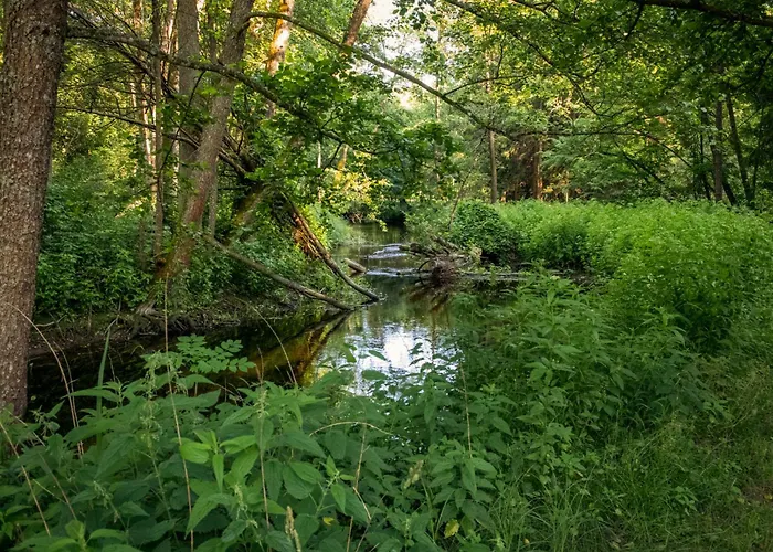 Niebieski Domek Nad Marycha