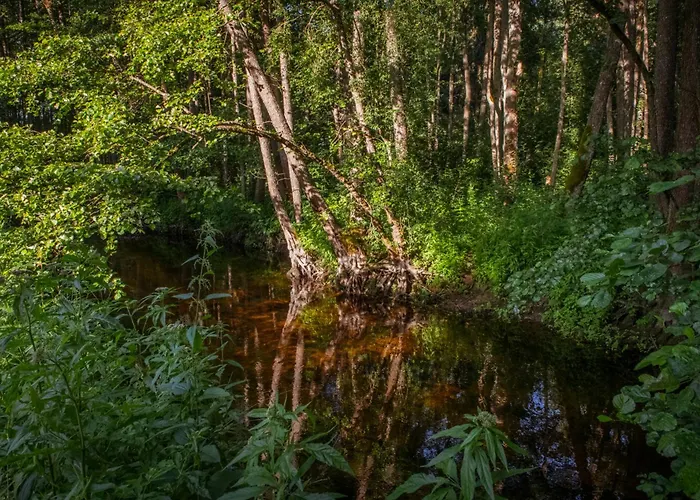 Niebieski Domek Nad Marycha
